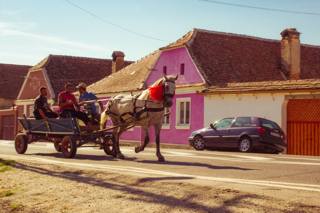 Drožky jsou jedním ze symbolů Rumunska. Provázeli nás celou naší cestu z Bukureště do Banátu i z Banátu do Transylvánie. Nejezdí na nich jen Romové, ale i ostatní Rumuni.