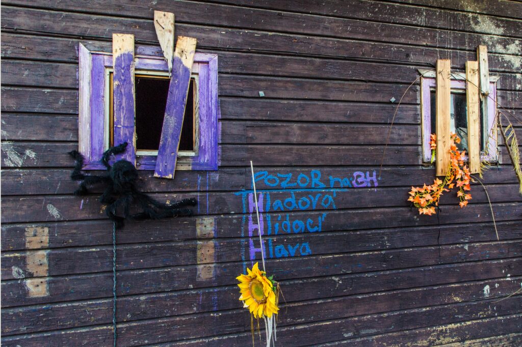 20151108-IMG_0486
