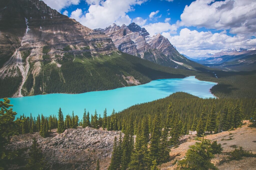 Tyrkysové Peyto Lake
