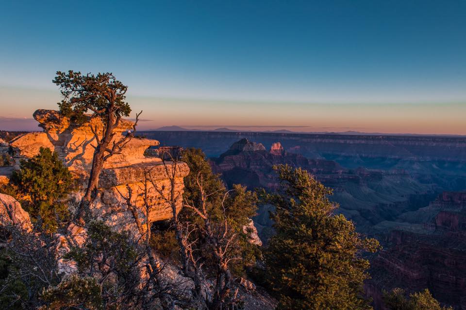 North Rim je lepší než South Rim, protože tu nejsou téměř žádní turisti