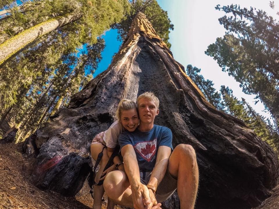 Poznali byste, že to není největší strom v Sequoia parku?