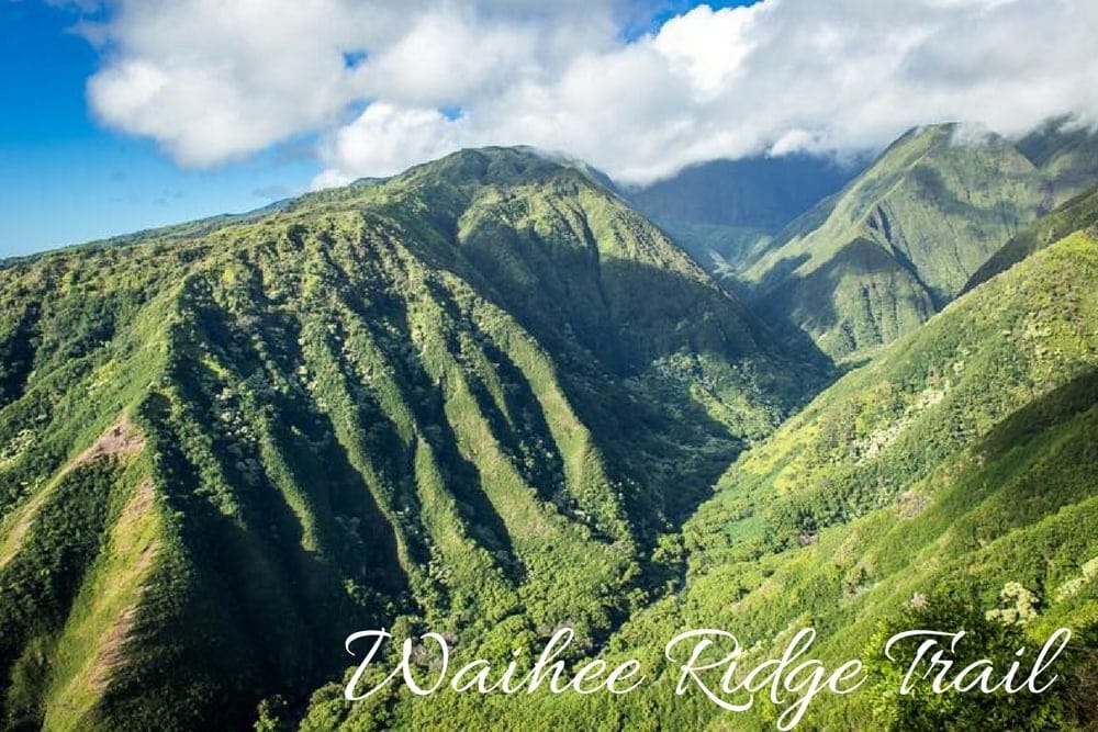 waihee ridge trail maui hawaii